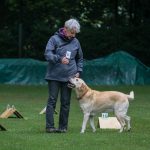 240911329_4521741871179746_7633156365968012509_n