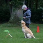 240954057_4521749811178952_1673015734190660345_n