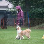 240964287_4521739167846683_5125890088470578546_n