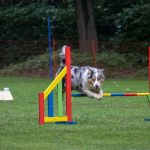 240967882_4521793667841233_2104758625250162866_n