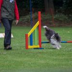 240971498_4521720987848501_1862127883633623518_n