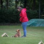 240973616_4521726167847983_2510465199983433330_n