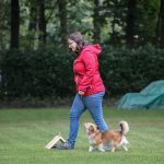 241000412_4521722057848394_6085323640593785883_n