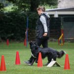 241007561_4521792407841359_4108554396106707341_n