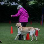 241010652_4521721771181756_7080973664468816838_n