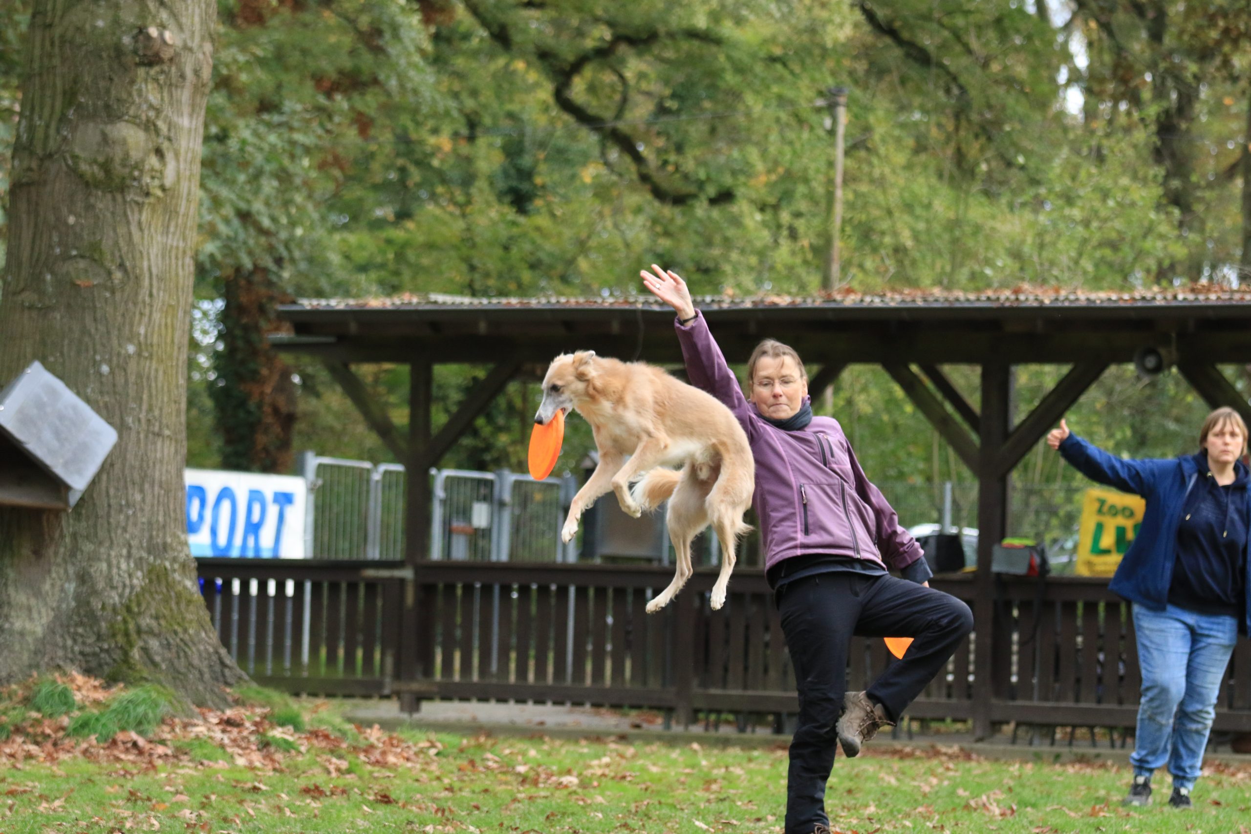 Frisbee-Workshop Teil 2
