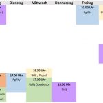 Plazubelegung 240205