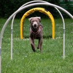 IMG_9460-Verbessert-RR