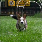 IMG_9464-Verbessert-RR