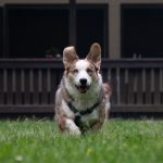 IMG_9486-Verbessert-RR