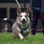 IMG_9488-Verbessert-RR