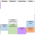 Platzbelegungsplan 26.02.2025