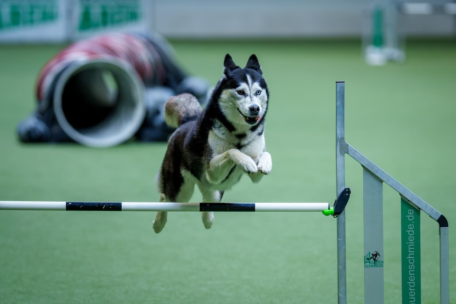 Agility-Turnier 25./26.04.2026