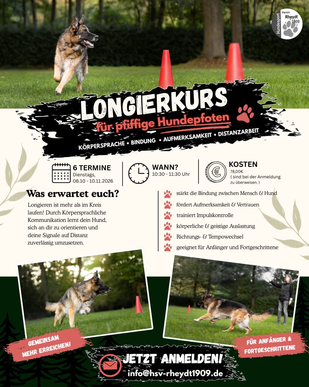 Flyer zum Longierkurs für pfiffige Hundepfoten, sechs Termine ab 6. Oktober 2026