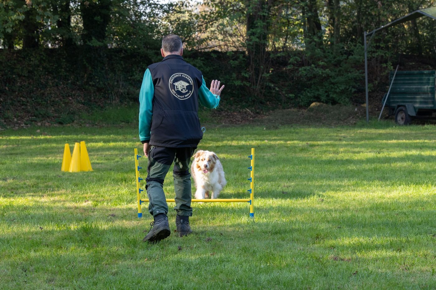 Ein Australian Shepherd an der Hürde, sein Mensch gibt ihm ein Zeichen
