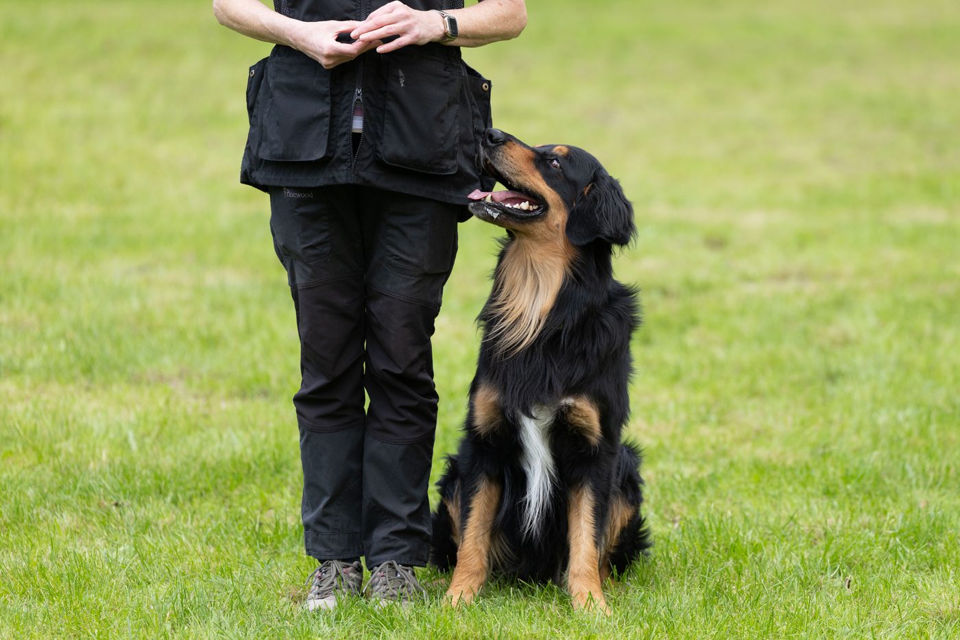 Erfolgreiches Obedience-Seminar mit Kirstin Niederstenschee beim DVG-Wegberg